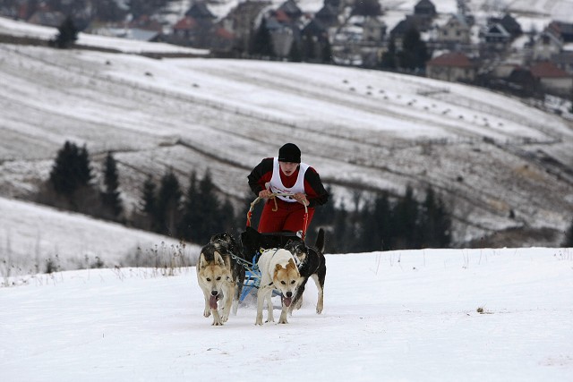 Kynologická revue - www.dogsk.sk