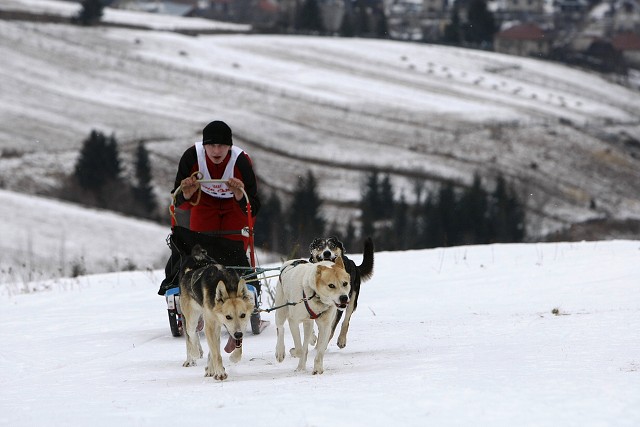 Kynologická revue - www.dogsk.sk
