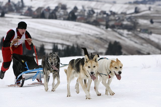 Kynologická revue - www.dogsk.sk