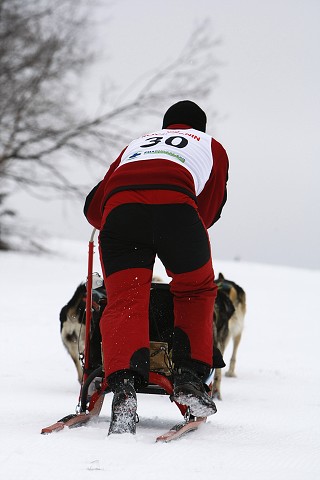 Kynologická revue - www.dogsk.sk
