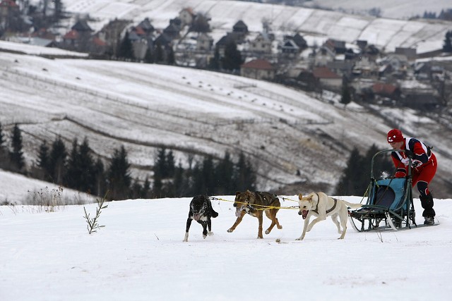 Kynologická revue - www.dogsk.sk