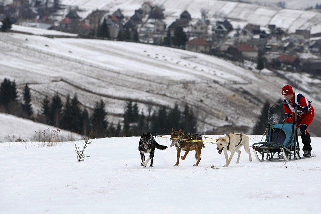 Kynologická revue - www.dogsk.sk