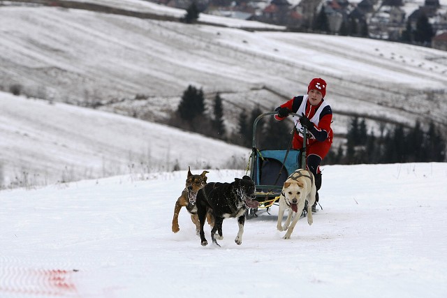 Kynologická revue - www.dogsk.sk