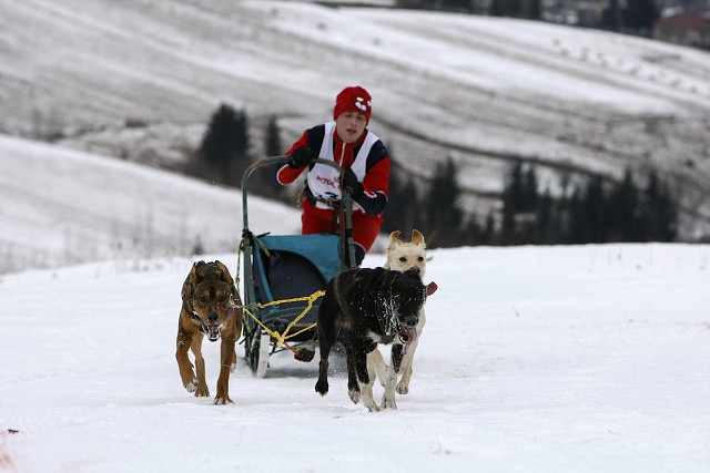 Kynologická revue - www.dogsk.sk