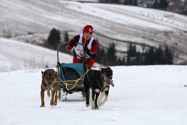 Kynologická revue - www.dogsk.sk