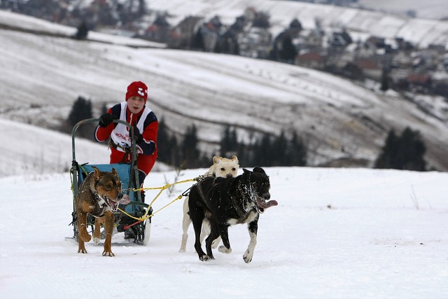Kynologická revue - www.dogsk.sk