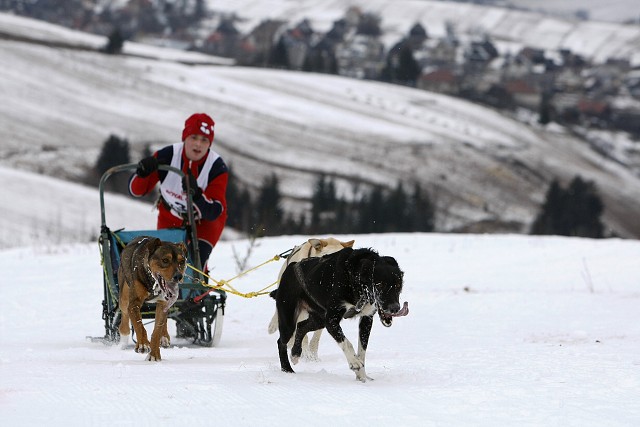 Kynologická revue - www.dogsk.sk