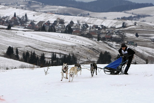 Kynologická revue - www.dogsk.sk