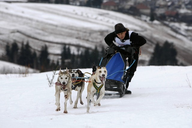 Kynologická revue - www.dogsk.sk