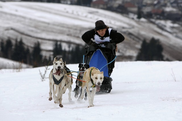 Kynologická revue - www.dogsk.sk