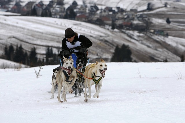 Kynologická revue - www.dogsk.sk