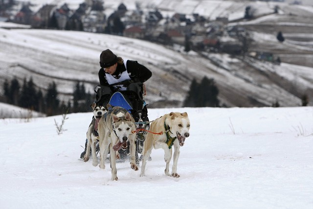 Kynologická revue - www.dogsk.sk