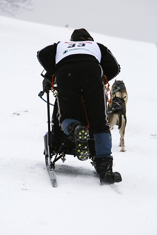 Kynologická revue - www.dogsk.sk