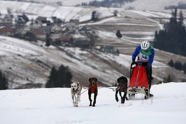 Kynologická revue - www.dogsk.sk