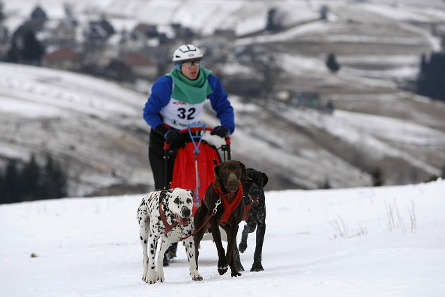 Kynologická revue - www.dogsk.sk