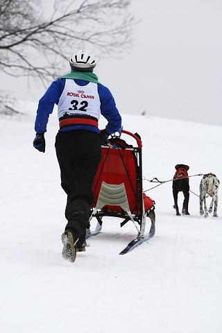 Kynologická revue - www.dogsk.sk