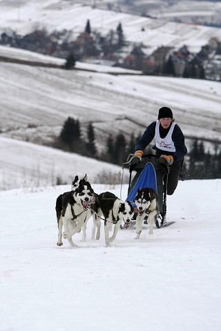 Kynologická revue - www.dogsk.sk