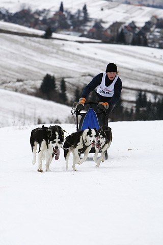 Kynologická revue - www.dogsk.sk