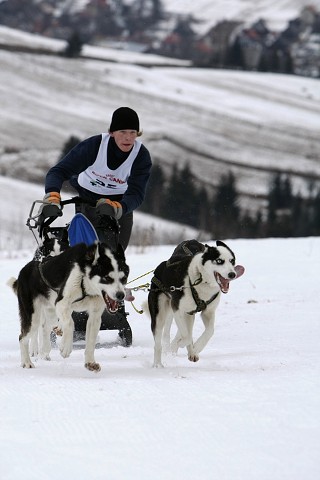 Kynologická revue - www.dogsk.sk