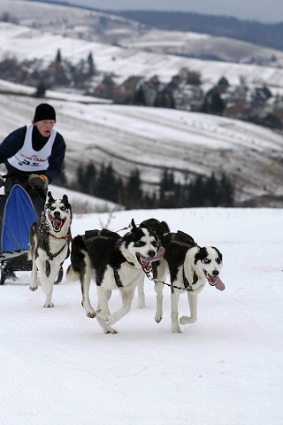Kynologická revue - www.dogsk.sk