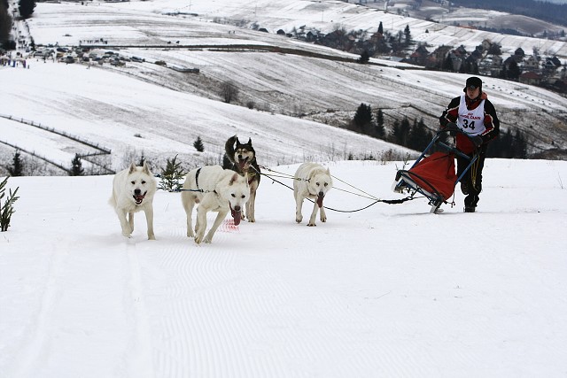 Kynologická revue - www.dogsk.sk