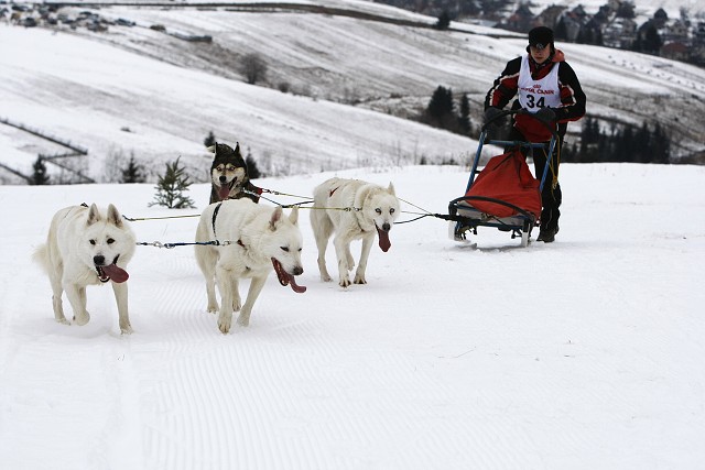 Kynologická revue - www.dogsk.sk