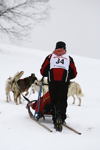 Kynologická revue - www.dogsk.sk