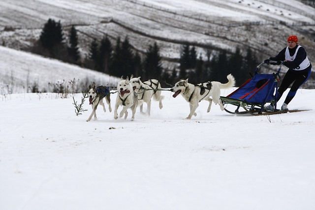 Kynologická revue - www.dogsk.sk