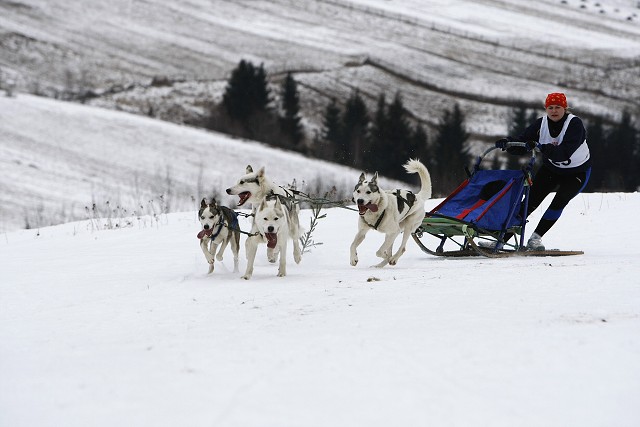 Kynologická revue - www.dogsk.sk
