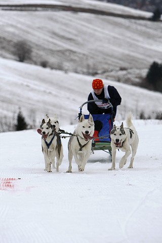 Kynologická revue - www.dogsk.sk