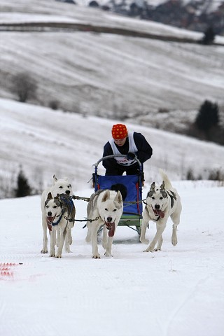 Kynologická revue - www.dogsk.sk