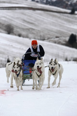 Kynologická revue - www.dogsk.sk