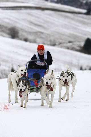 Kynologická revue - www.dogsk.sk