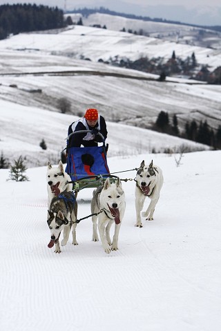 Kynologická revue - www.dogsk.sk