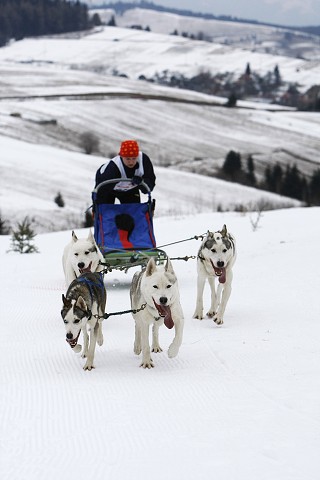 Kynologická revue - www.dogsk.sk