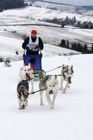 Kynologická revue - www.dogsk.sk