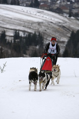 Kynologická revue - www.dogsk.sk