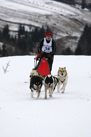 Kynologická revue - www.dogsk.sk