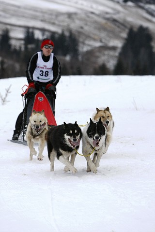 Kynologická revue - www.dogsk.sk