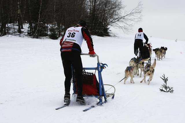 Kynologická revue - www.dogsk.sk