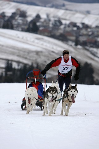 Kynologická revue - www.dogsk.sk