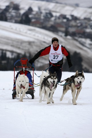 Kynologická revue - www.dogsk.sk