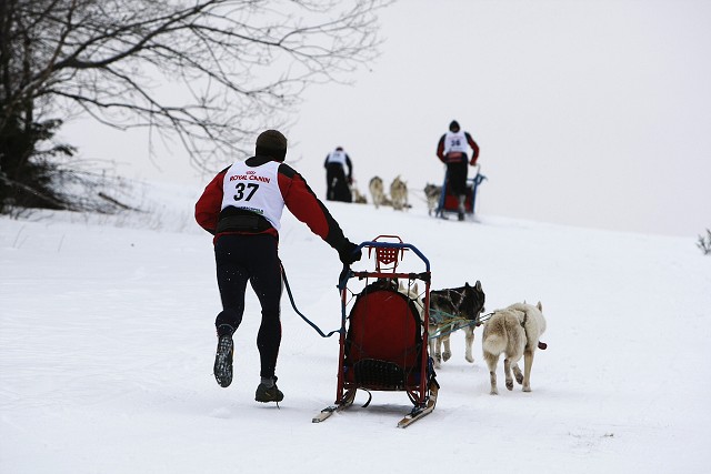 Kynologická revue - www.dogsk.sk