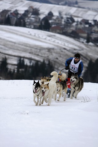 Kynologická revue - www.dogsk.sk