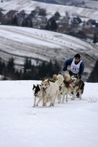 Kynologická revue - www.dogsk.sk