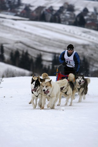 Kynologická revue - www.dogsk.sk