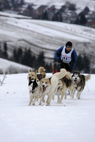 Kynologická revue - www.dogsk.sk