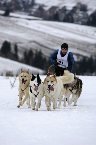 Kynologická revue - www.dogsk.sk