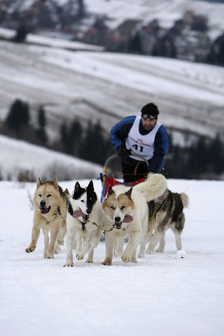 Kynologická revue - www.dogsk.sk
