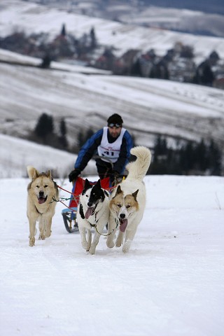 Kynologická revue - www.dogsk.sk